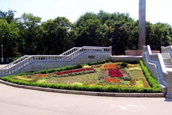 Цветы перед памятником Мечта Импотента