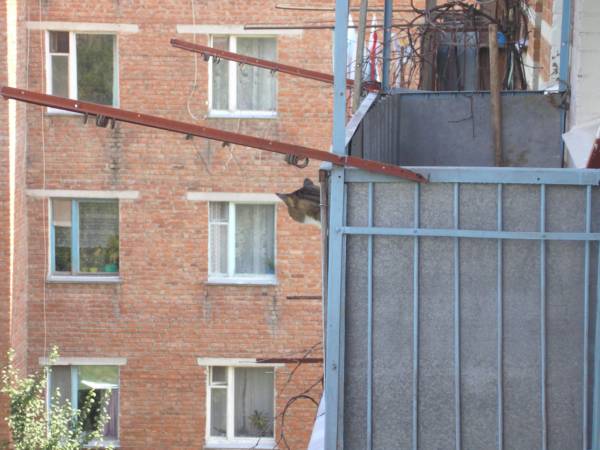 Кот на соседском балконе