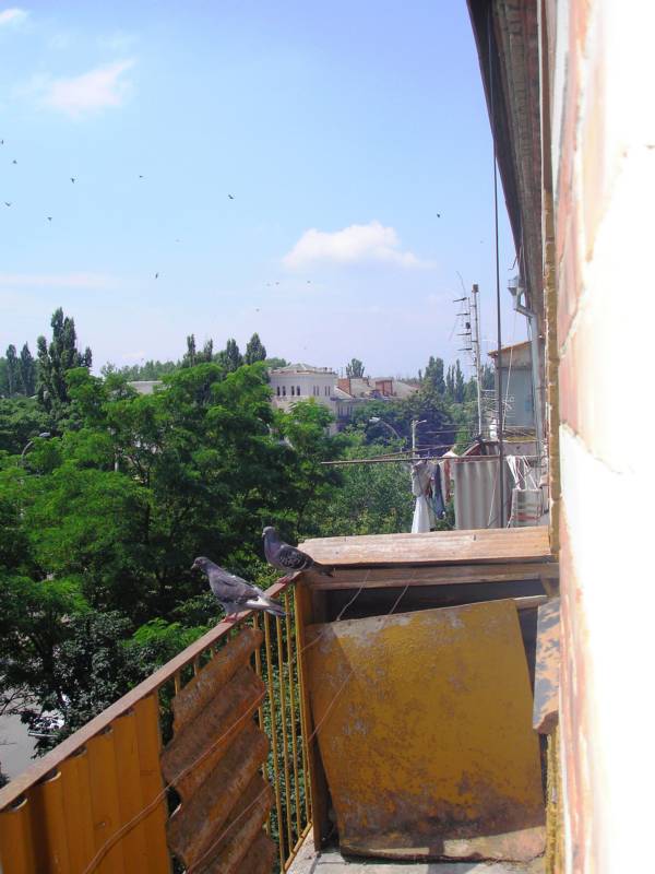 Вид с окна в сторону ТАЛИСМАНа_1