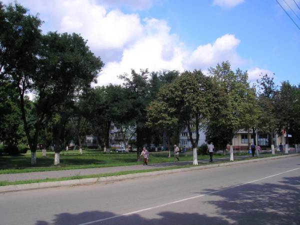 Улица Новороссийская в районе рынка АРМАВИРСКИЙ