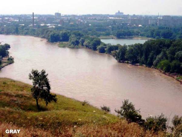 В Старой СтаниВид на реку Кубань  и на 2-й пруд с горы